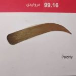 رنگ ابرو دنی وان شماره 99.16 حجم 15 میلی لیتر